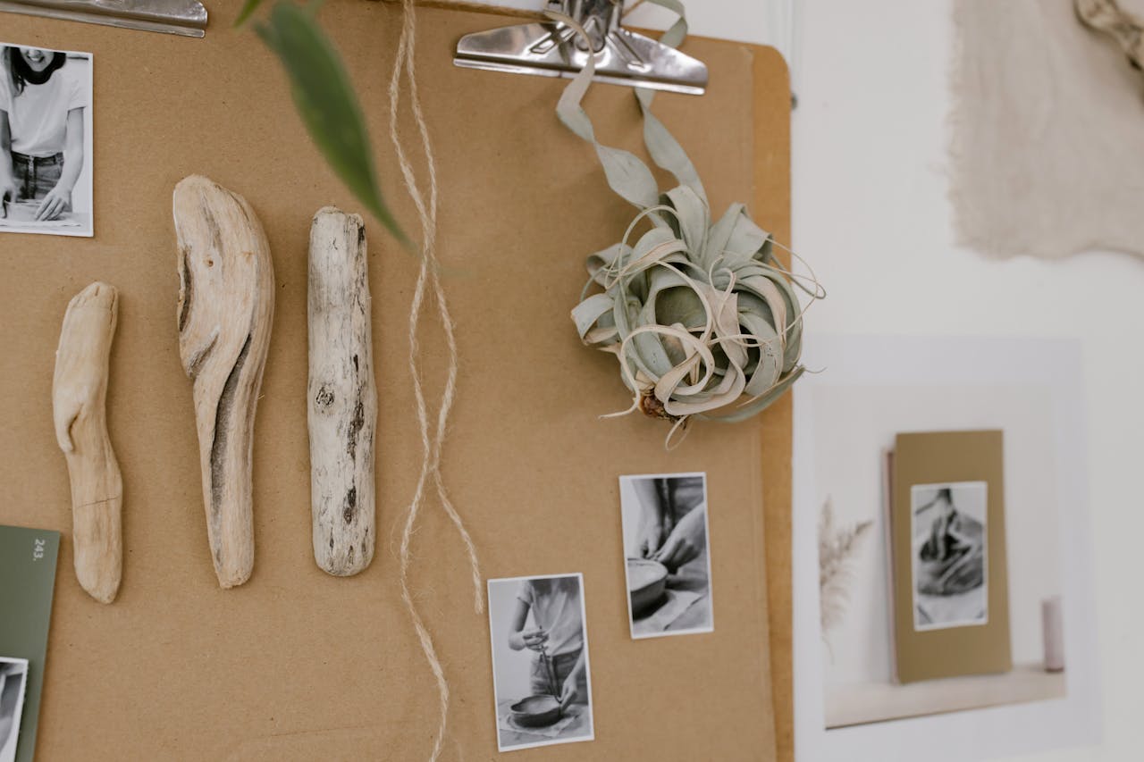 Creative display featuring driftwood, air plant, and photos on a corkboard.